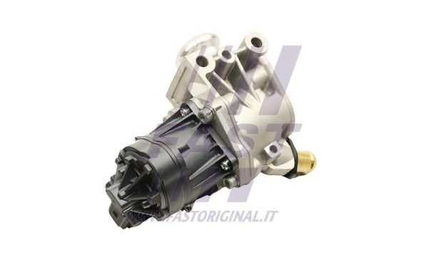 FT60247_4_1.JPG