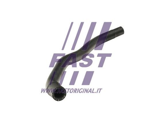 FT61164_2_1.JPG