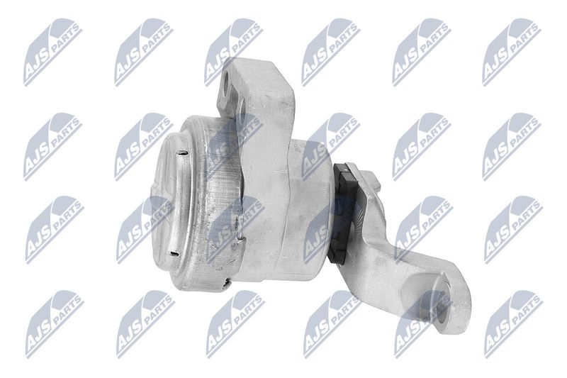 Paigutus, Mootor, NTY ZPS-FR-033