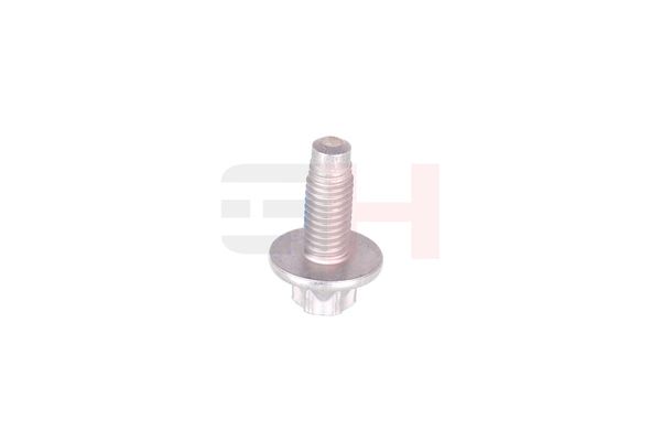 Vedruamordi tugilaager, GH GH-393311
