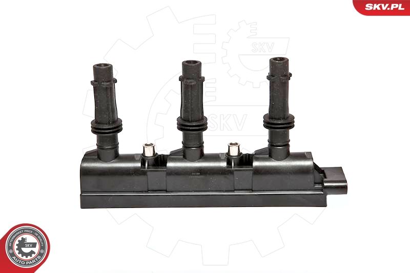 ESEN SKV 03SKV187 Ignition Coil