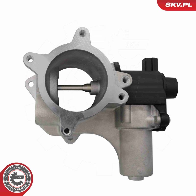 ESEN SKV 14SKV320 EGR Valve