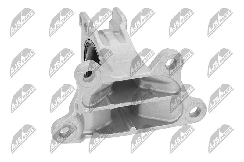 Paigutus, Mootor, NTY ZPS-MS-030