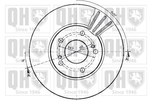 QH_BDC3813_2.JPG
