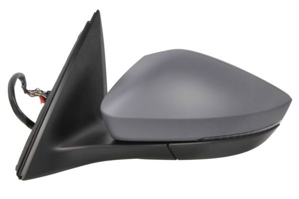 BLIC 5402-43-2195316P Exterior Mirror