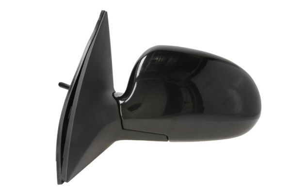 BLIC 5402-20-2002843P Exterior Mirror