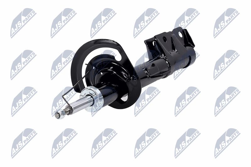 Amort, NTY A-CH-057