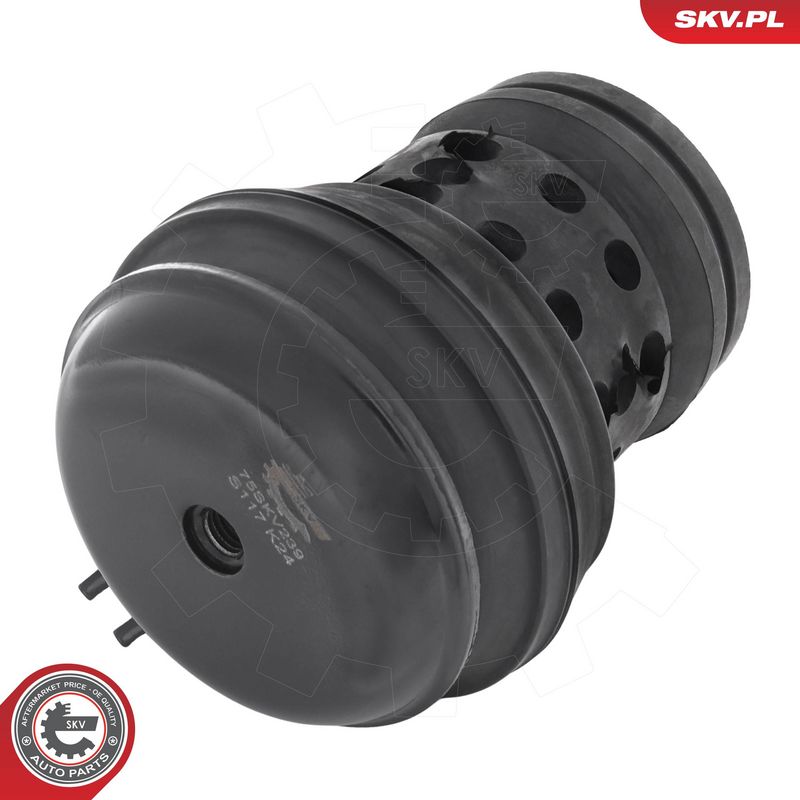 Paigutus, Mootor, ESEN SKV 75SKV239