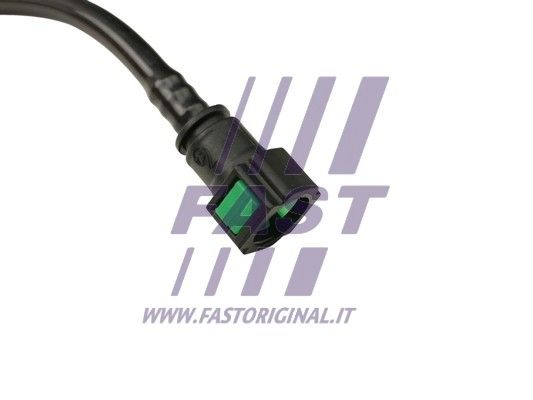 FT61173_3_1.JPG
