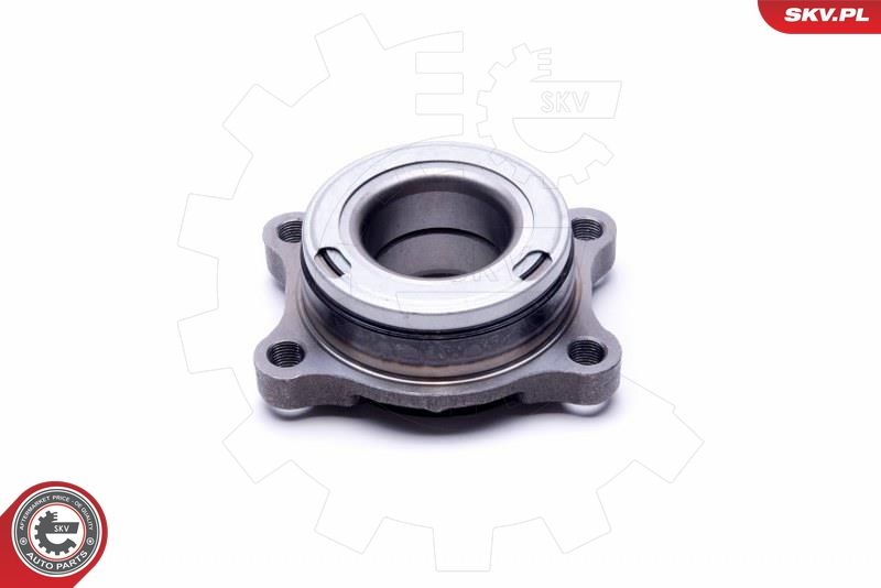 ESEN SKV 29SKV489 Wheel Bearing Kit