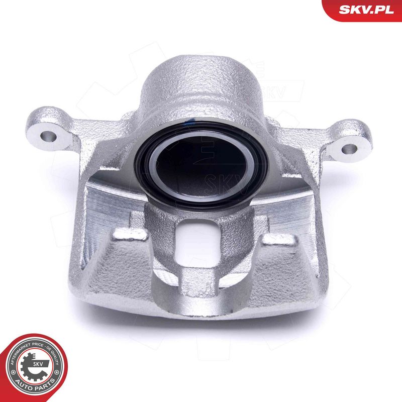 Pidurisadul, ESEN SKV 50SKV481