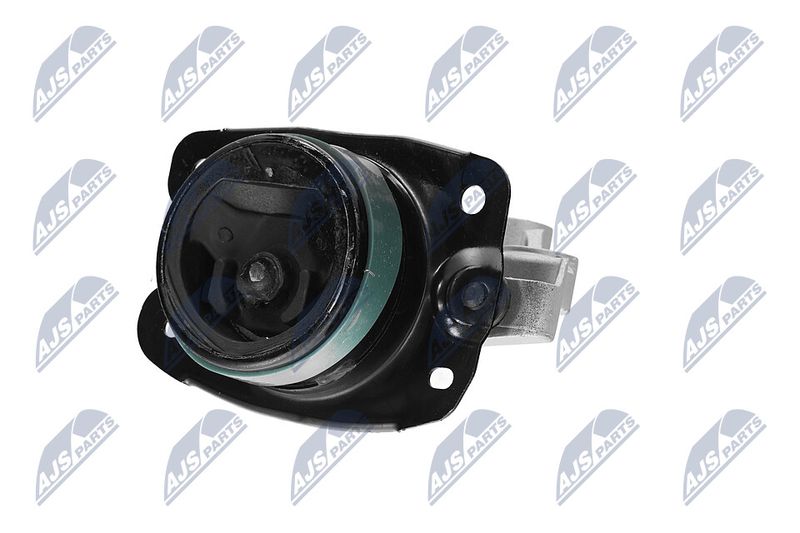 Paigutus, Mootor, NTY ZPS-CH-147