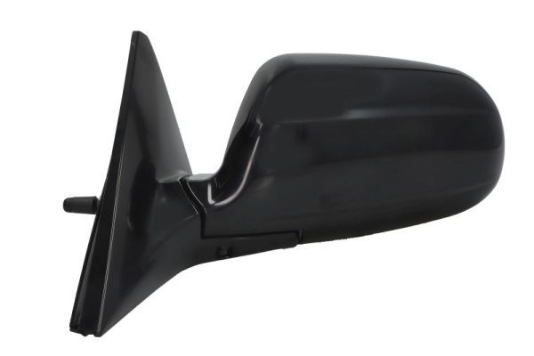 BLIC 5402-04-111221P Exterior Mirror