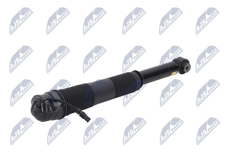 Amort, NTY A-LR-022