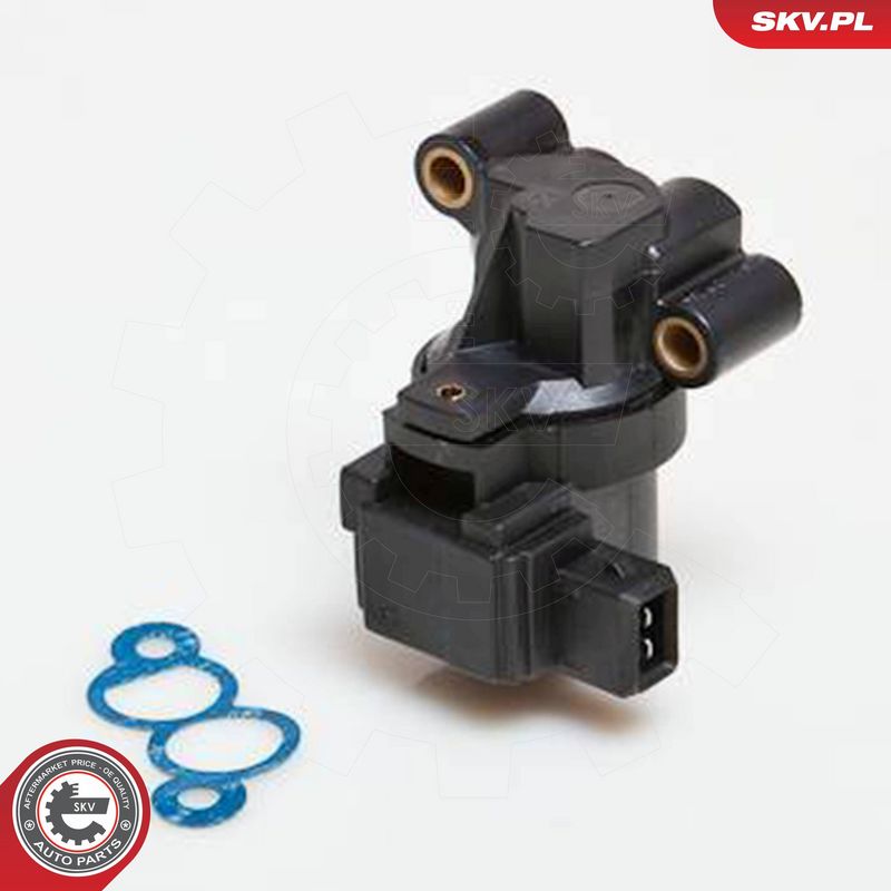 ESEN SKV 08SKV208 Idle Control Valve, air supply