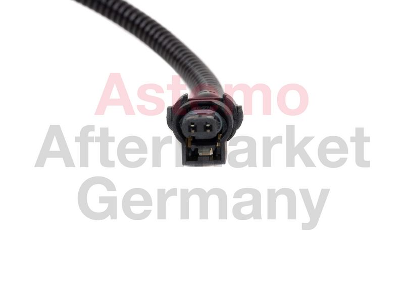 2505586_2.JPG