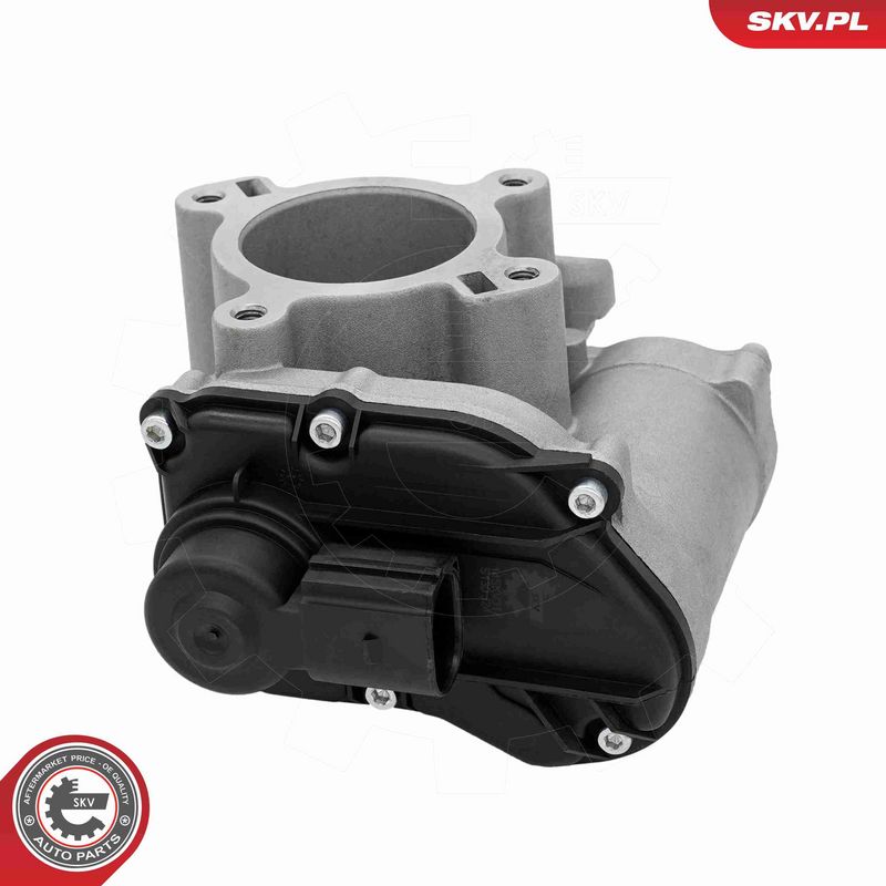 ESEN SKV 14SKV317 EGR Valve