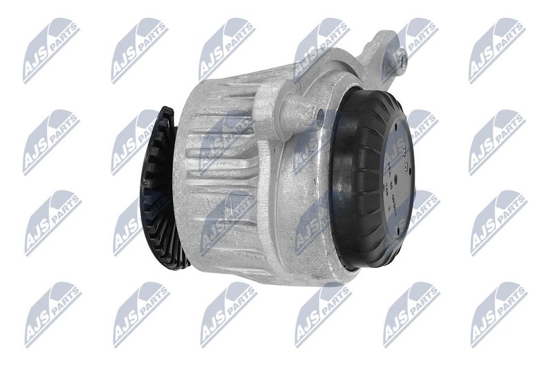 Paigutus, Mootor, NTY ZPS-ME-049