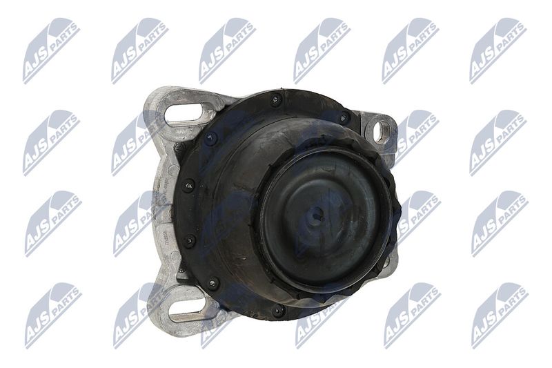 Paigutus, Mootor, NTY ZPS-FR-013