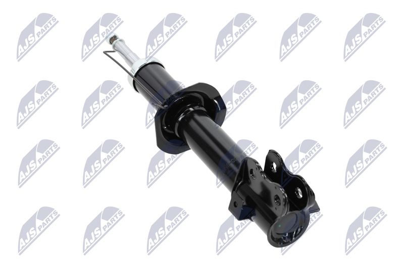 Amort, NTY A-NS-009