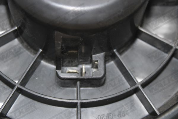 wbl00057_5349860.JPG