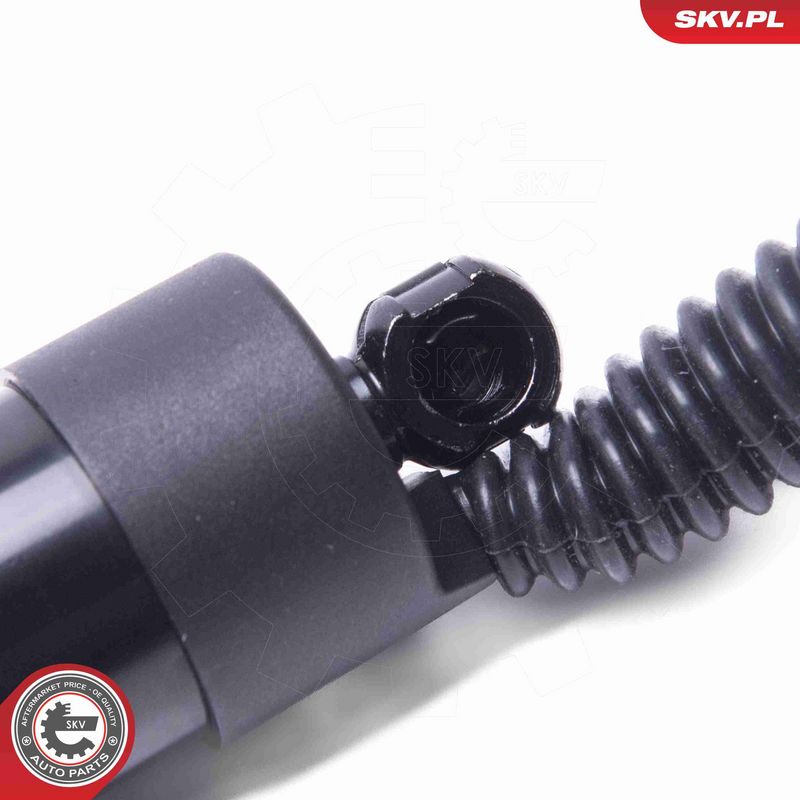 ESEN SKV 52SKV955 Electric Motor, tailgate