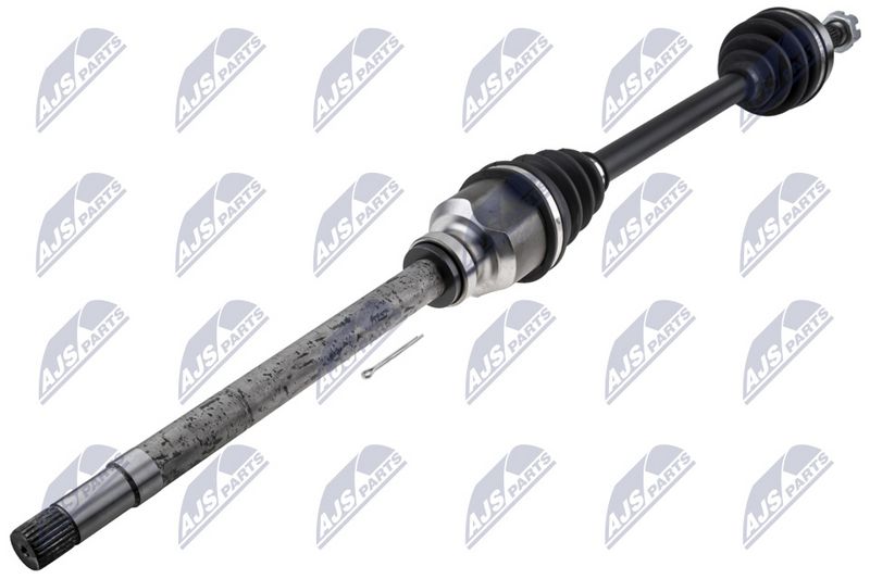 NPW-PE-124_1-WM.JPG