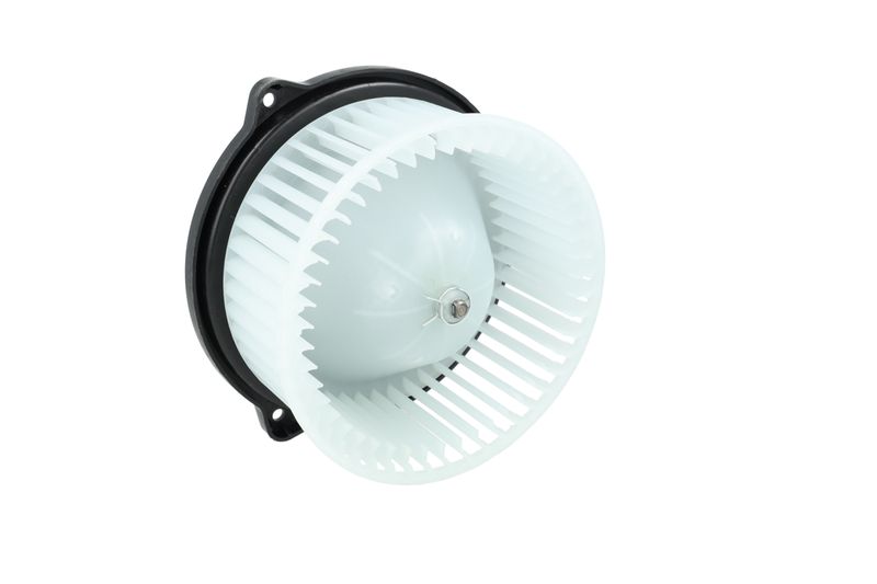 Salongipuhur, NRF 34291