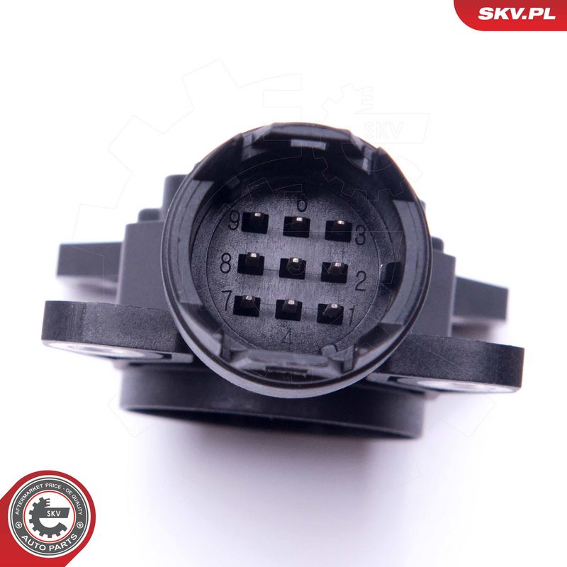 Andur, ekstsentrikvõll (varieeruv klapisurve), ESEN SKV 17SKV469