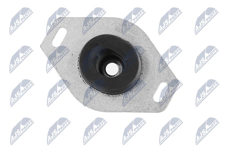 Paigutus, Mootor, NTY ZPS-PE-009