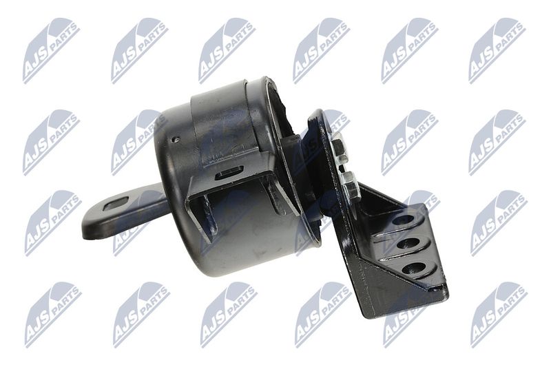 Paigutus, Mootor, NTY ZPS-DW-011