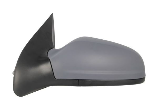 BLIC 5402-04-1139235P Exterior Mirror