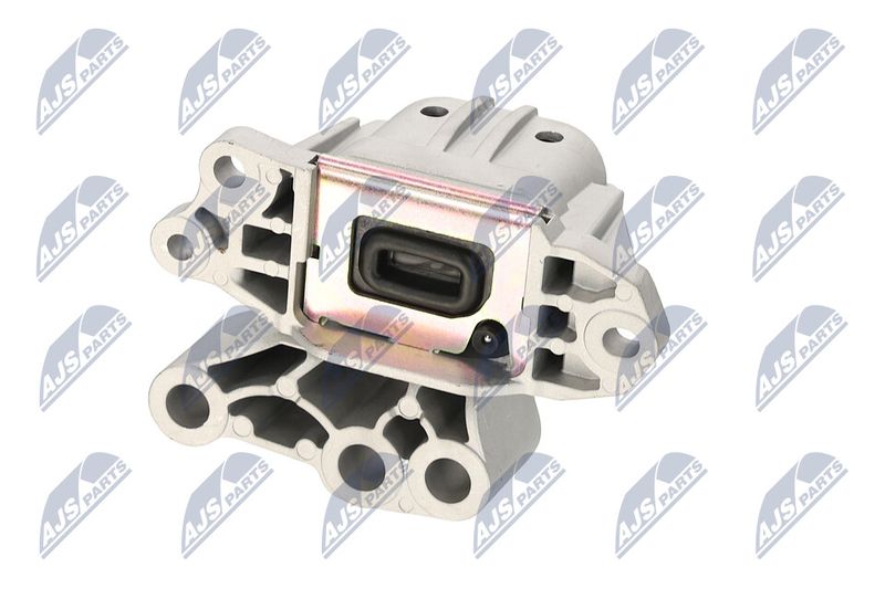 Paigutus, Mootor, NTY ZPS-CH-131