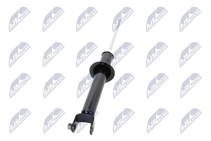 Amort, NTY A-CH-055