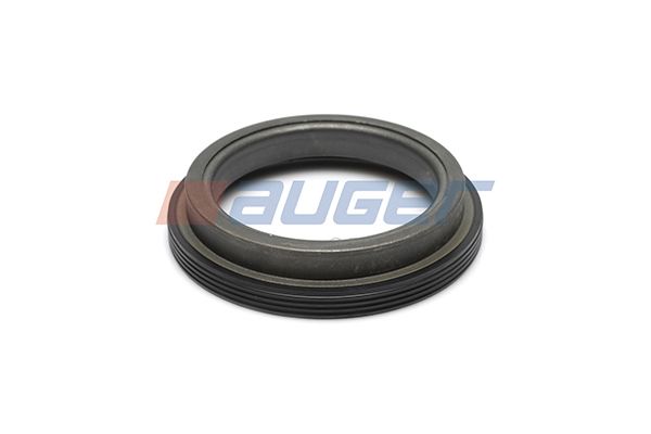 Wellendichtring, Radnabe