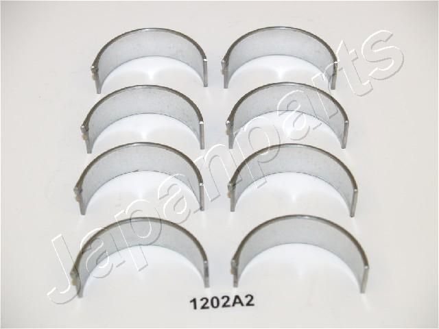 CB1202A2_1.JPG