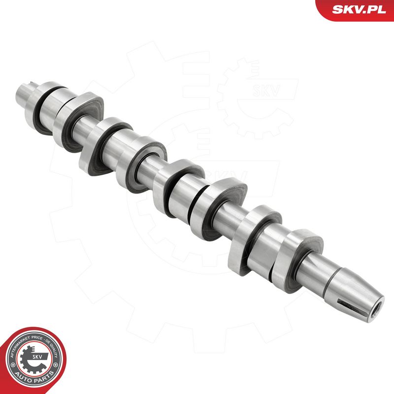Nukkvõll, ESEN SKV 80SKV004