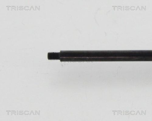 TRIS8710615336150_2.JPG