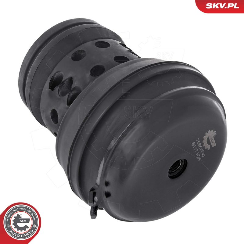 Paigutus, Mootor, ESEN SKV 75SKV240