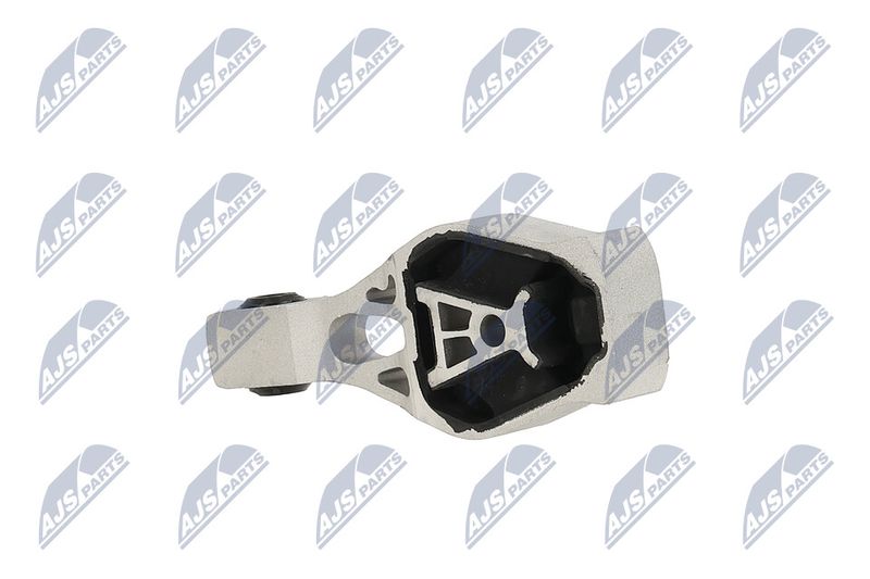 Paigutus, Mootor, NTY ZPS-PE-044