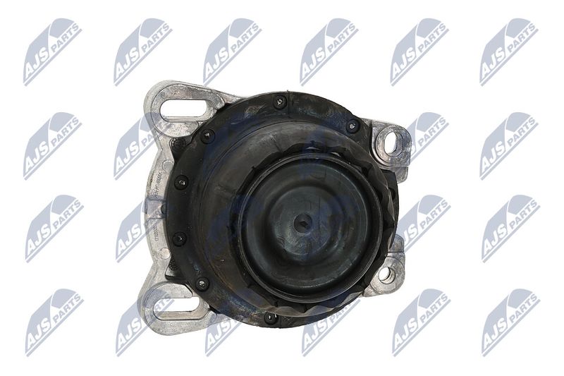 Paigutus, Mootor, NTY ZPS-FR-013