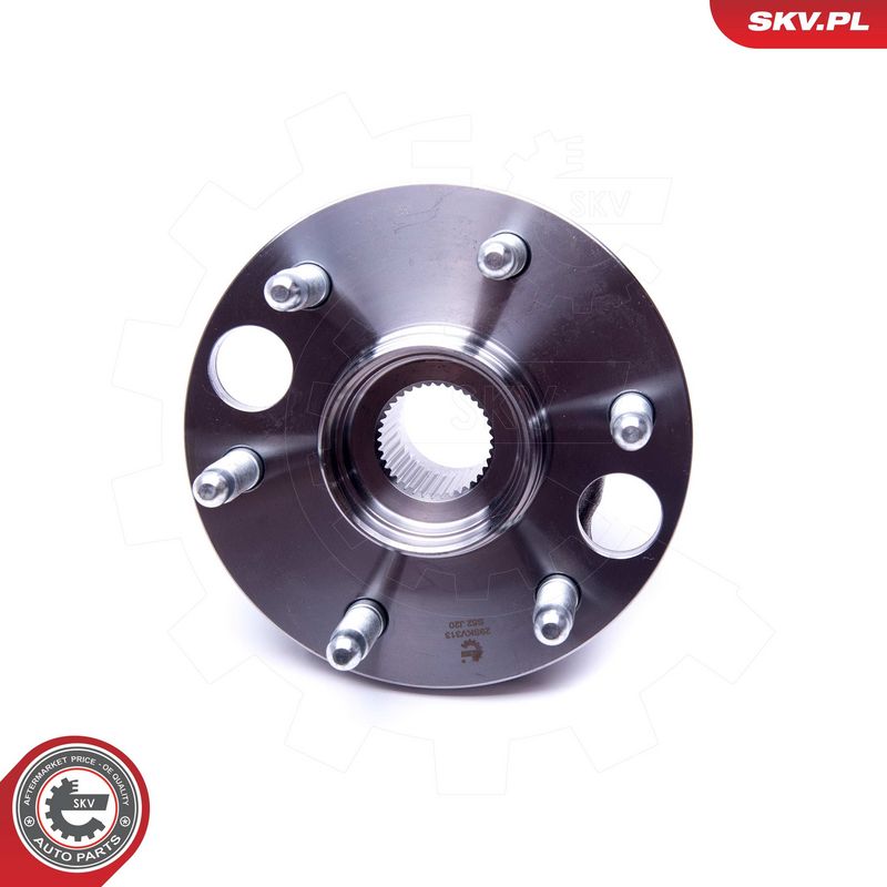 Rattalaagrikomplekt, ESEN SKV 29SKV319