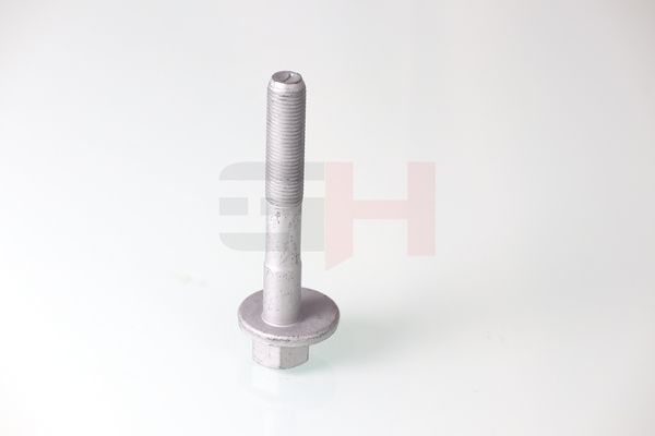 GH GH-399901 Camber Correction Screw