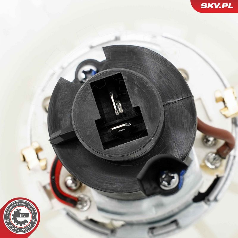 Salongipuhur, ESEN SKV...