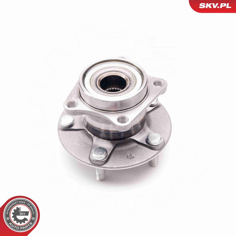 ESEN SKV 29SKV139 Wheel Bearing Kit