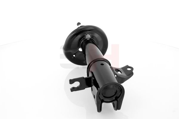 Amort, GH GH-323281H