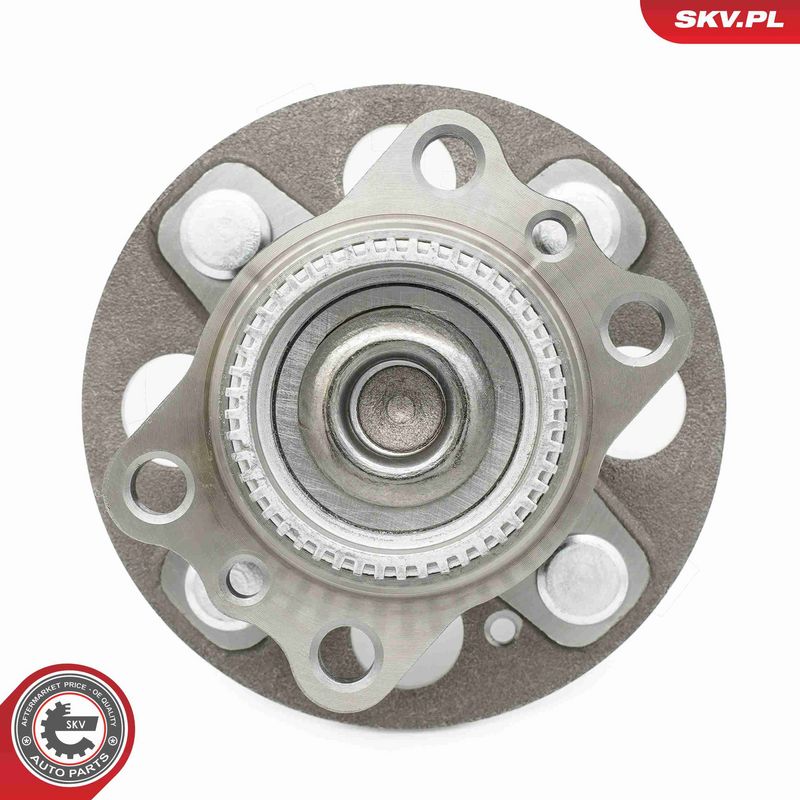 ESEN SKV 29SKV671 Wheel Bearing Kit