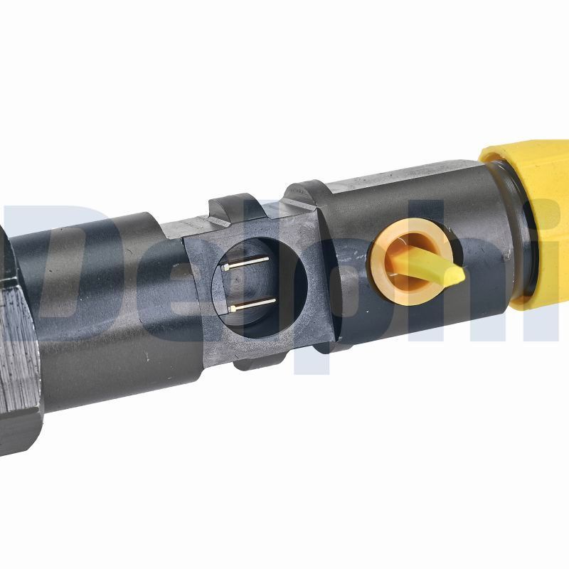 DELPHI R00502Z-12B1 Injector