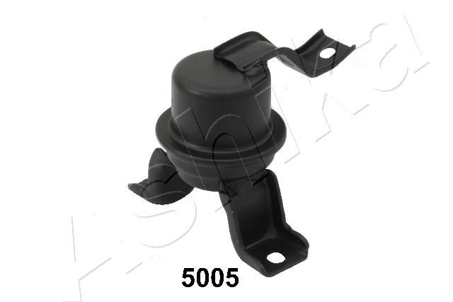 GOM-5005_1.JPG