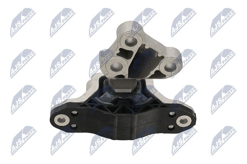 Paigutus, Mootor, NTY ZPS-PL-051